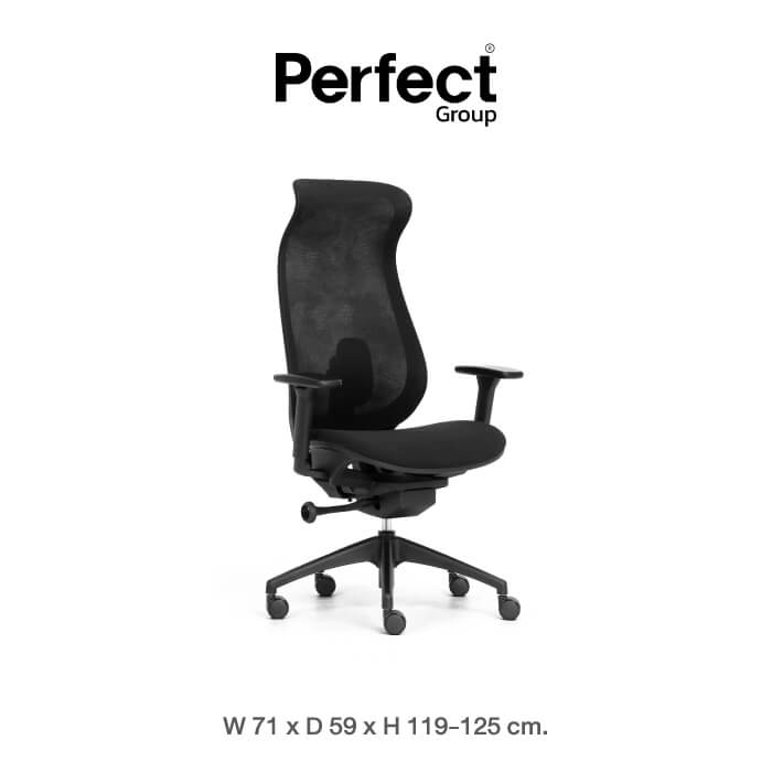 เก้าอี้ทำงานเพื่อสุขภาพ Perfect รุ่น 6237A สีดำ